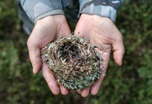 Parental reflections. Empty Nest