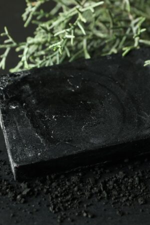 Charcoal soap and thuja branches on black background