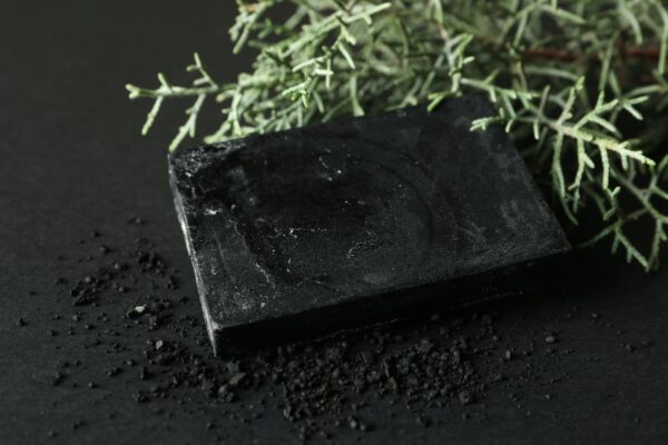 Charcoal soap and thuja branches on black background